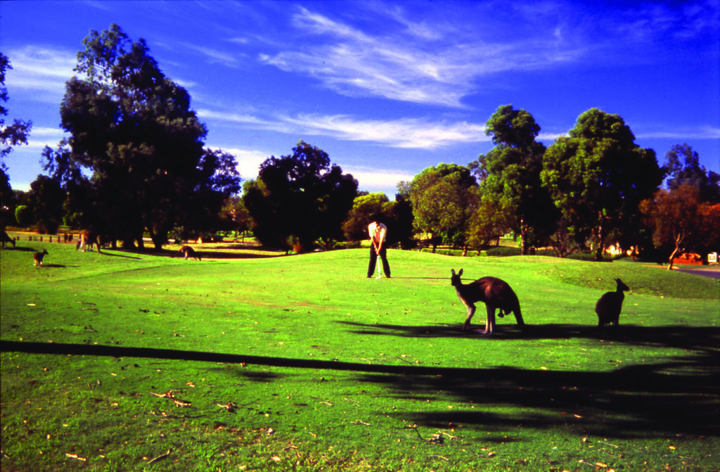 Hotel Novotel Vines Swan Valley